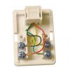6P4C Surface Mount Box｜Chung Yi Enterprise Crop.