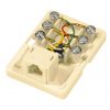 6P6C Surface Mount Box｜Chung Yi Enterprise Crop.